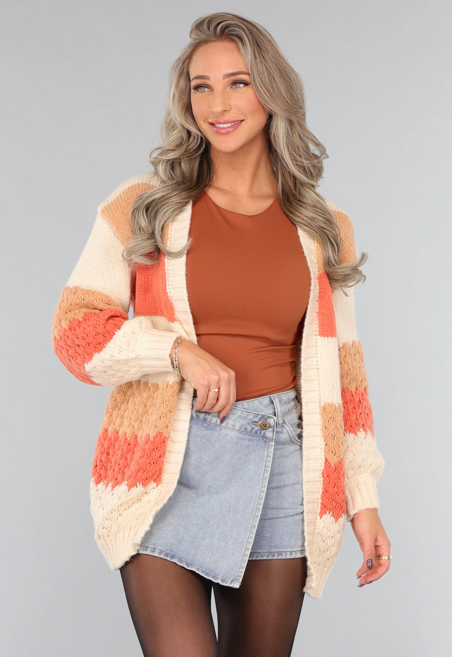 Gebreide Multicolor Cardigan