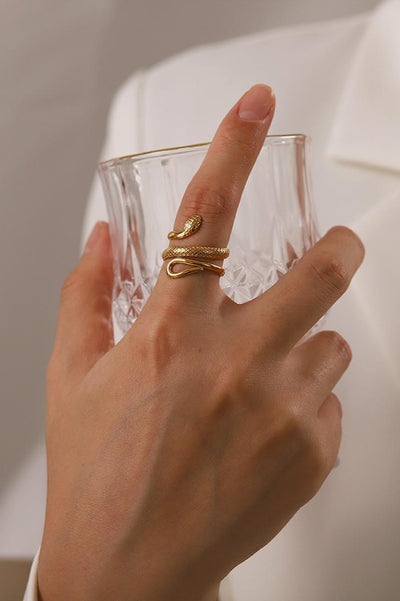 Stainless Steel Ring met Slangen Model